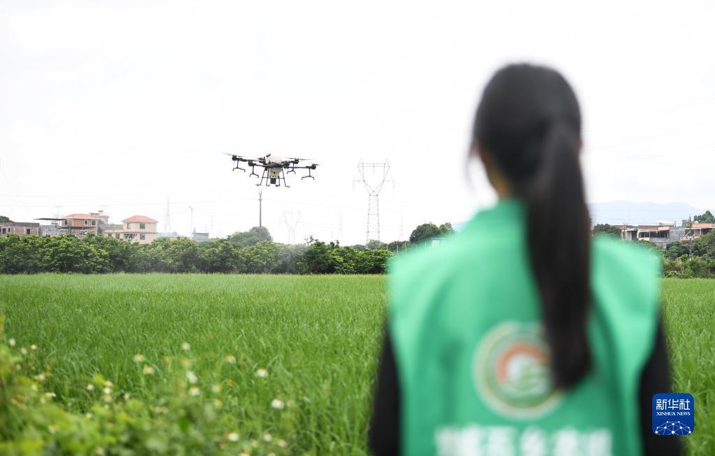 2025白菜网体验金